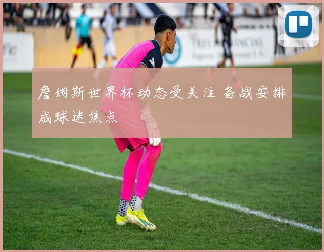 詹姆斯世界杯动态受关注 备战安排成球迷焦点